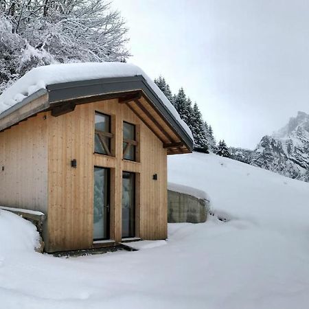 Chalet*** Au Pied D'Une Prairie Face A La Montagne Sixt Exteriér fotografie