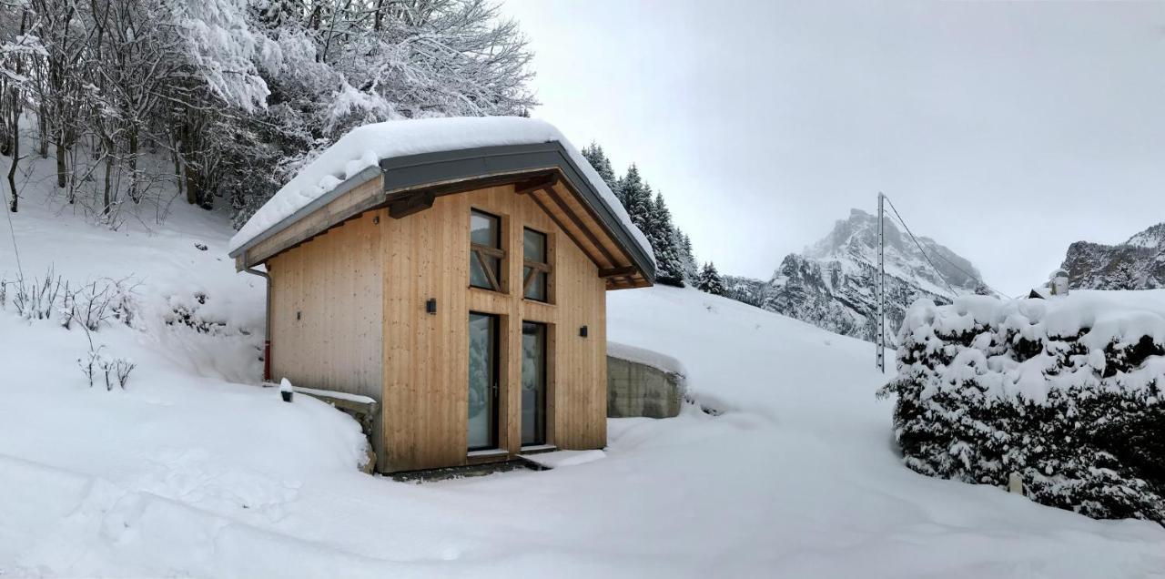 Chalet*** Au Pied D'Une Prairie Face A La Montagne Sixt Exteriér fotografie