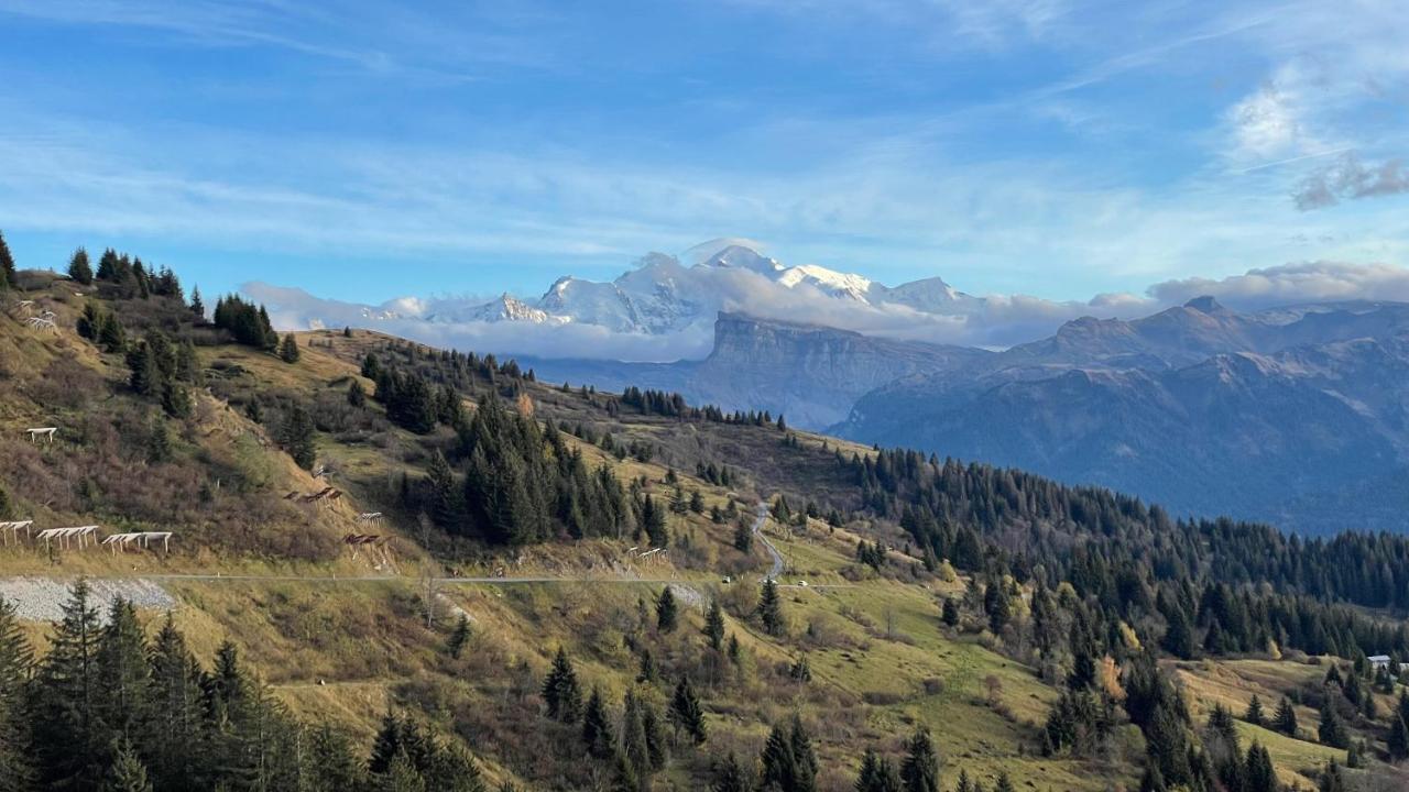 Chalet*** Au Pied D'Une Prairie Face A La Montagne Sixt Exteriér fotografie
