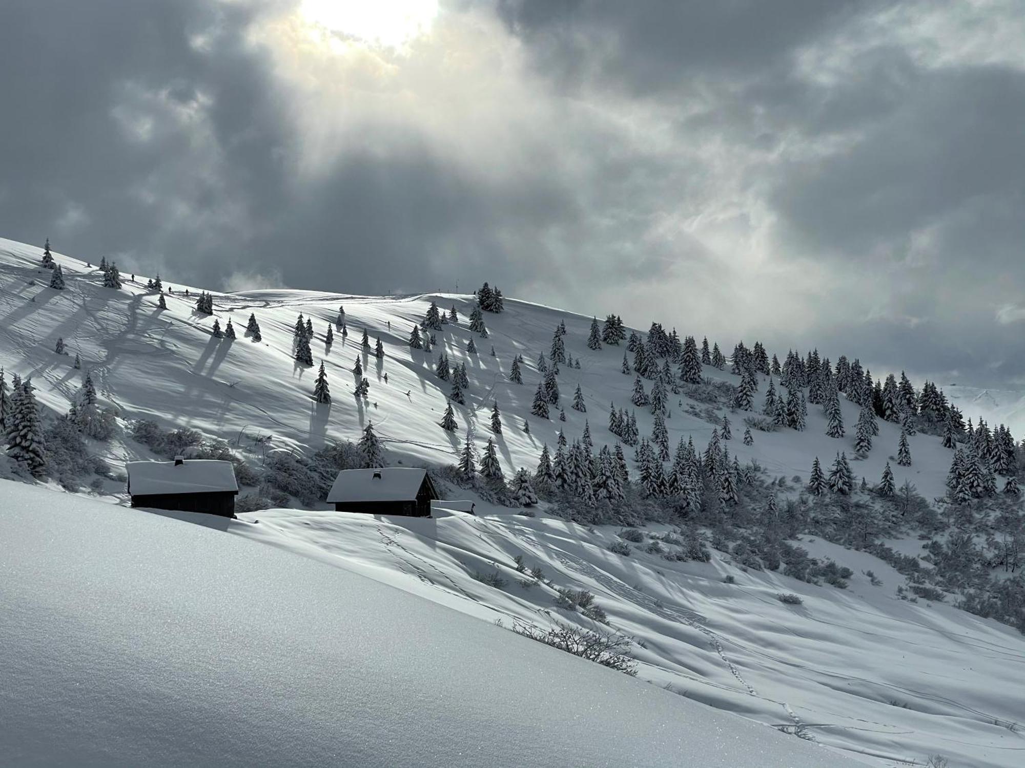 Chalet*** Au Pied D'Une Prairie Face A La Montagne Sixt Exteriér fotografie
